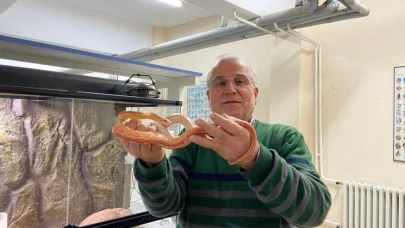 Yılan Müzesi, 185 sürüngen türüyle eğitim ve araştırma merkezine dönüştü