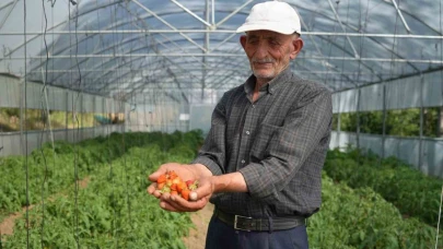 Bayburtlu çiftçinin yıkılan serası devlet eliyle yeniden ayağa kaldırıldı