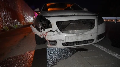 Gümüşhane’de otomobilin çarptığı ayı telef oldu