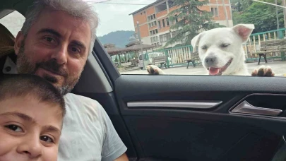 Esnafın peşinden ayrılmayan pitbull görünümlü köpek sosyal medyada gündem oldu