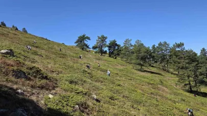 Doğanın şifa kaynağı Likarpa, Gümüşhane’de şenliğe dönüştü