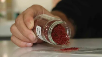 Kilosu 250 bin liradan satılan safranın mısır püskülünden sahtesini yaptılar