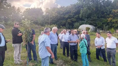 Arıcılar ve akademisyenler kestane balının geleceğini konuştu