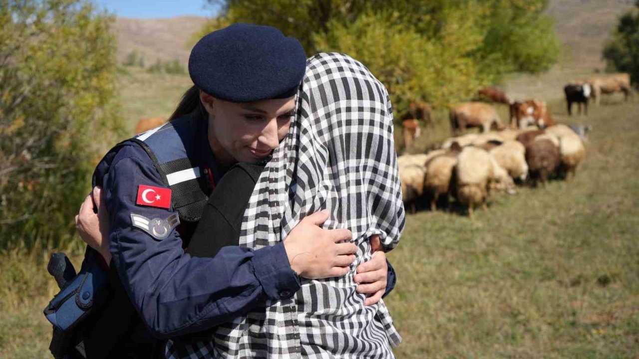Kaybolan Koyunlar jandarma ekiplerince dağda bulundu