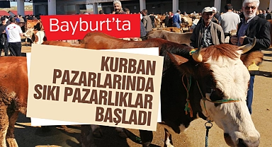 Bayburt'ta kurban pazarında hareketlilik başladı