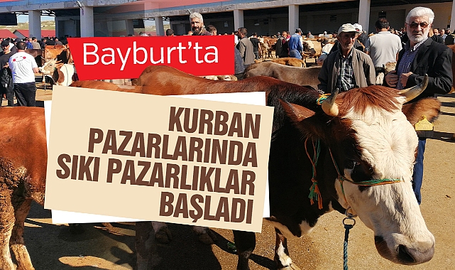 Bayburt'ta kurban pazarında hareketlilik başladı