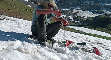 Haziran ayında kara pekmez döküp yedi