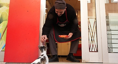 Sevimli kedi kirli, 'yemeyip yediriyor'