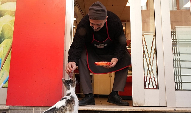 Sevimli kedi kirli, 'yemeyip yediriyor'