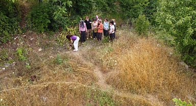Adana'da köylülerin şifalı ot "kantaron" hasadı başladı