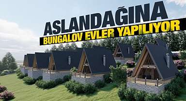 ASLANDAĞINA BUNGALOV EVLER, RESTORAN VE YÜRÜME YOLLARI YAPILIYOR