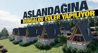 ASLANDAĞINA BUNGALOV EVLER, RESTORAN VE YÜRÜME YOLLARI YAPILIYOR