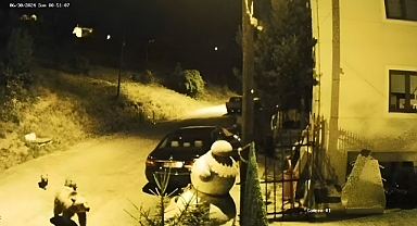 Ayı ve yavruları köyün içinde görüntülendi