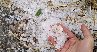 Erzincan’ın Tercan ilçesinde dolu etkili oldu