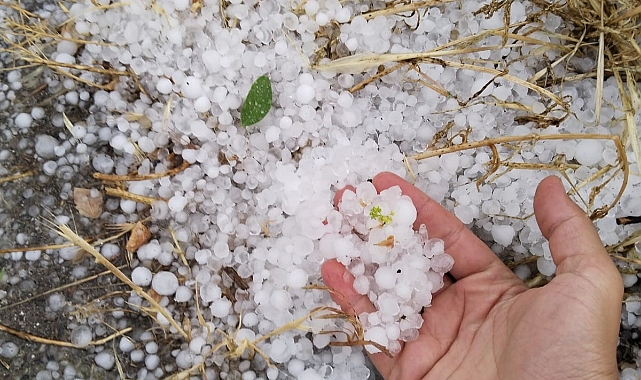 Erzincan’ın Tercan ilçesinde dolu etkili oldu