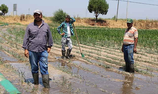 Gençlerin masa başı iş sevdası Türk tarımına alarm verdiriyor