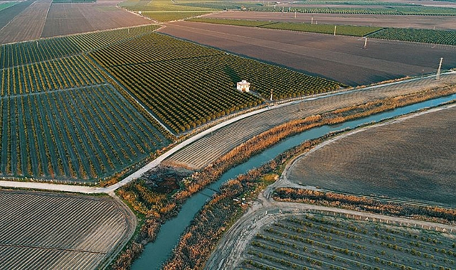 Listeler askıya çıktı