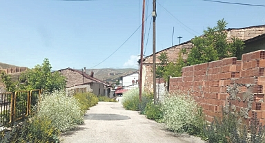 Mahalleleri ot sardı!