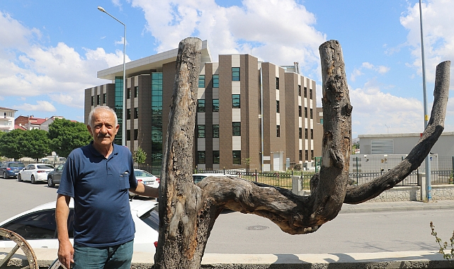 Şekli dikkatini çekti, kestirip bahçesinde yıllarca muhafaza etti