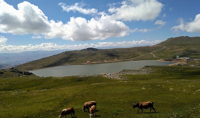 Yayla tutkunlarına oksijen uyarısı