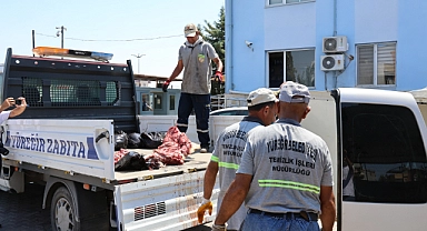 1.5 ton at ve eşek eti yakalatan şahıstan şok savunma