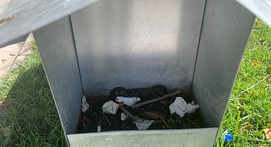 2021 yılında kurulan mama istasyonları, Görüntü kirliliğinden öteye geçmiyor!