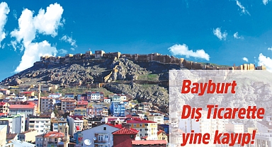 Bayburt'un Temmuz ayı dış ticaret rakamları belli oldu