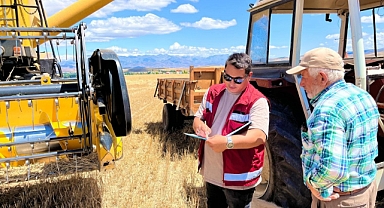 Biçerdöverlere sıkı denetim