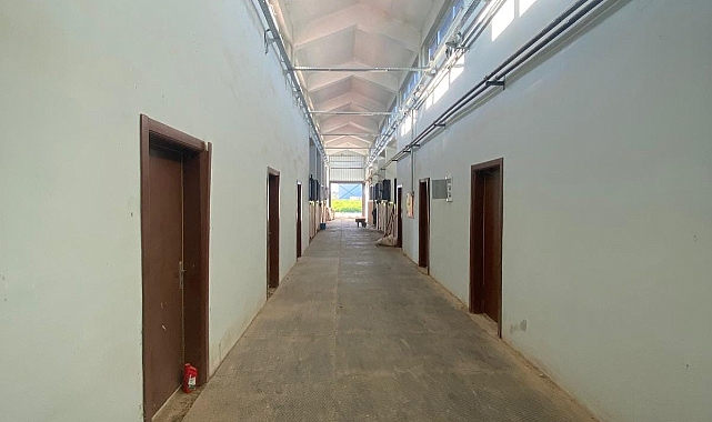 Cirit maçları artık tribünden izlenecek…