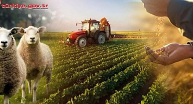 E-Devlet üzerinden yapılabilecek