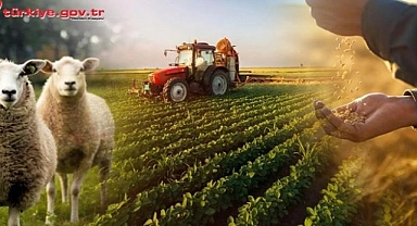 E-Devlet üzerinden yapılabilecek