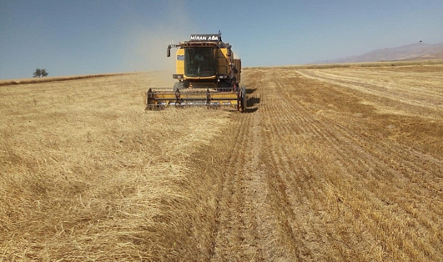Hububat alımları başlıyor...
