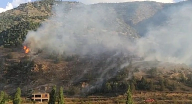 İspir'de orman yangını