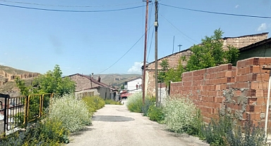 Mahalleleri ot yığınları sardı, vatandaşlar ‘kene kabusu’nu da hatırlattı!