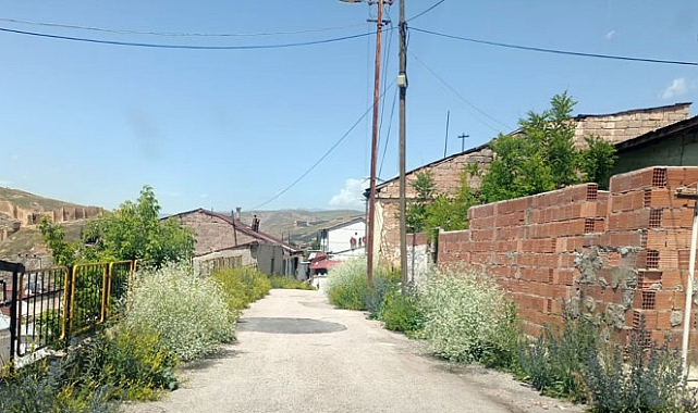 Mahalleleri ot yığınları sardı, vatandaşlar ‘kene kabusu’nu da hatırlattı!