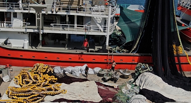 Palamut nereye onlar oraya