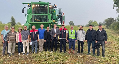 Samsun’da kenevir hasadı