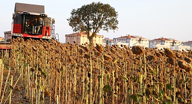 Trakya'nın tohumu tüm Türkiye'yi besleyecek