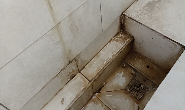 Umuma açık tuvaletler mikrop saçıyor