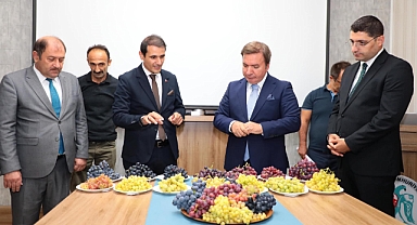 Üzümüyle meşhur Erzincan'da yeni üzüm çeşitleri yetiştirilecek