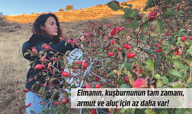 Bayburt dağlarının bereketi