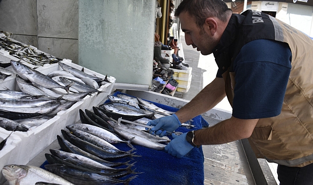 Balık tezgahları denetlendi