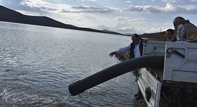 Bayburt’ta baraj ve göletlere 574 bin yavru balık bırakıldı