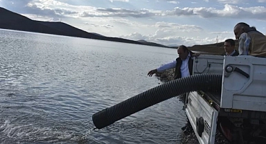 Bayburt’ta baraj ve göletlere 574 bin yavru balık bırakıldı