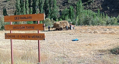 GEZKODER Ata tohumundan arpa üreterek çiftçiler dağıttı