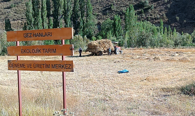 GEZKODER Ata tohumundan arpa üreterek çiftçiler dağıttı