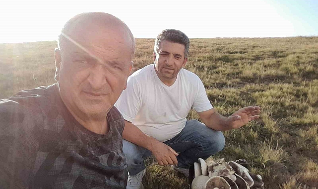 Gümüşki Yaylası'nda mantar bereketi