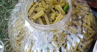 Kahvaltı sofralarının değişmez lezzeti: Pazı Turşusu