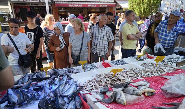 Palamut bolluğu herkesin yüzünü güldürüyor: Kiloluk palamutlar 70 TL