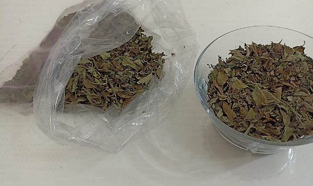 Reyhan Otu da aldı başını gidiyor!